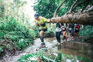 BIB: 
                            <button type="button" onclick="openModal(25473918)" class="btn btn-primary btn-sm float-right btn-popup" data-toggle="modal" data-target=".modal-high-quality">
                        <i class="fas fa-shopping-cart"></i> Add to Cart
                    </button>
                                            <button type="button" onclick="isThisMe(25473918, true)" class="btn btn-success btn-sm float-right btn-popup btn-isme hidden" data-toggle="tooltip" data-placement="bottom" title="นี่คือรูปของคุณใช่ไหม คลิกที่นี่เพื่อเอาเข้าอัลบั้ม">
                        <i class="fas fa-plus"></i> Add to album
                    </button>
                    <button type="button" onclick="isThisMe(25473918, false)" class="btn btn-warning btn-sm float-right btn-popup btn-isnotme hidden">
                        <i class="fas fa-ban"></i> Remove from album
                    </button>